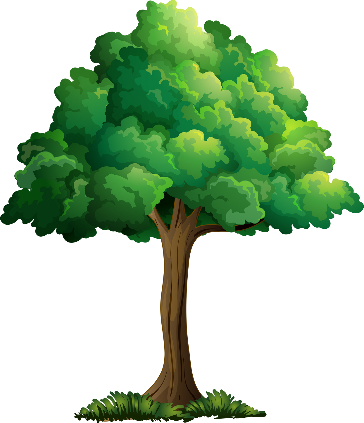 A Tree Branch Illustration 